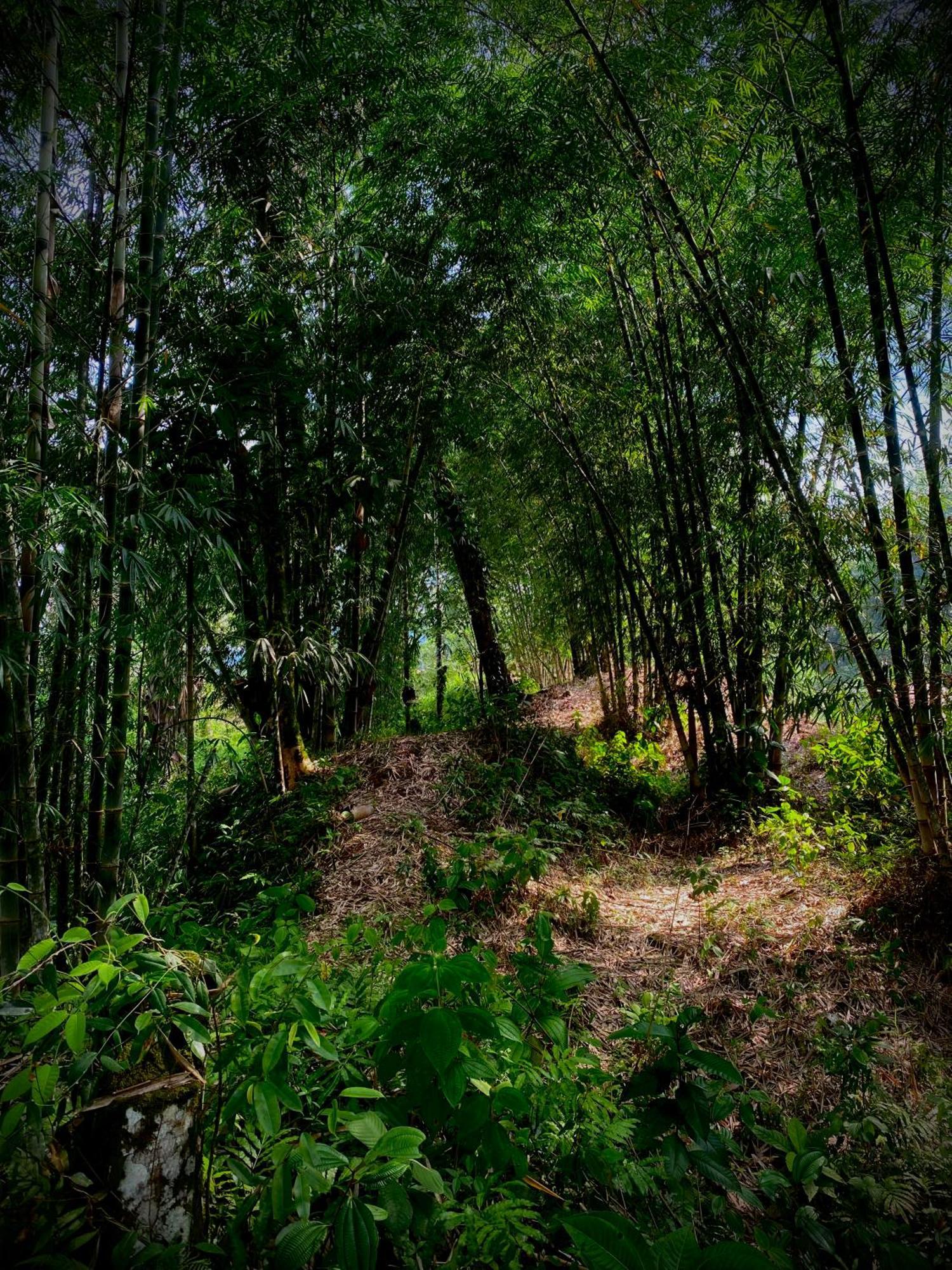 Veracruz Casa En Santuario Natural En La Amazonia别墅 外观 照片